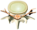  ð ̹